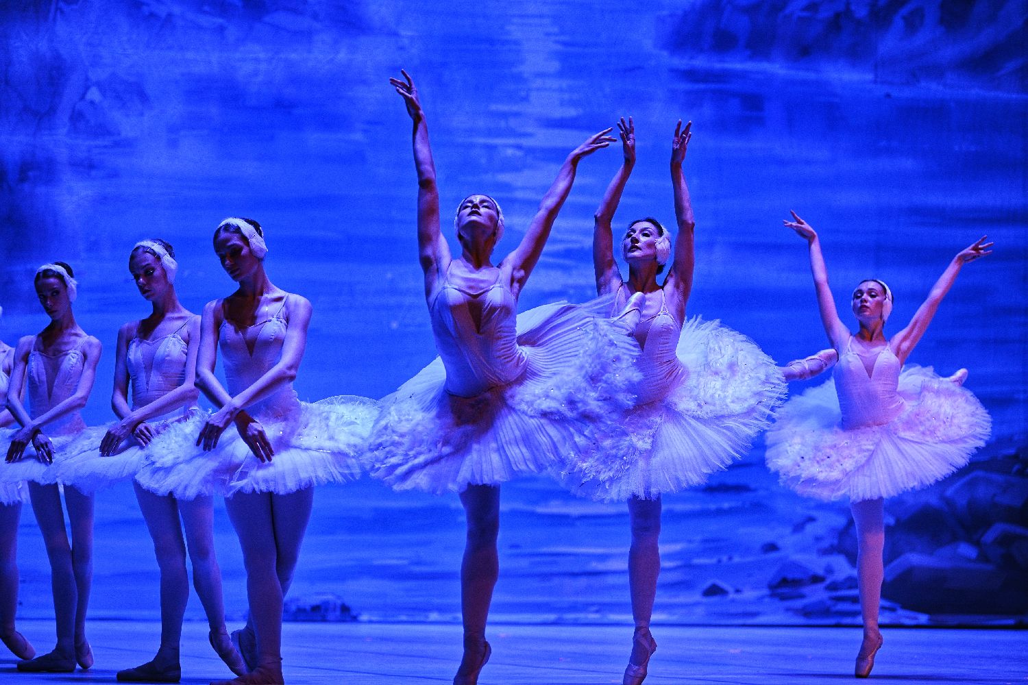 百年经典芭蕾舞剧《天鹅湖》在天津上演